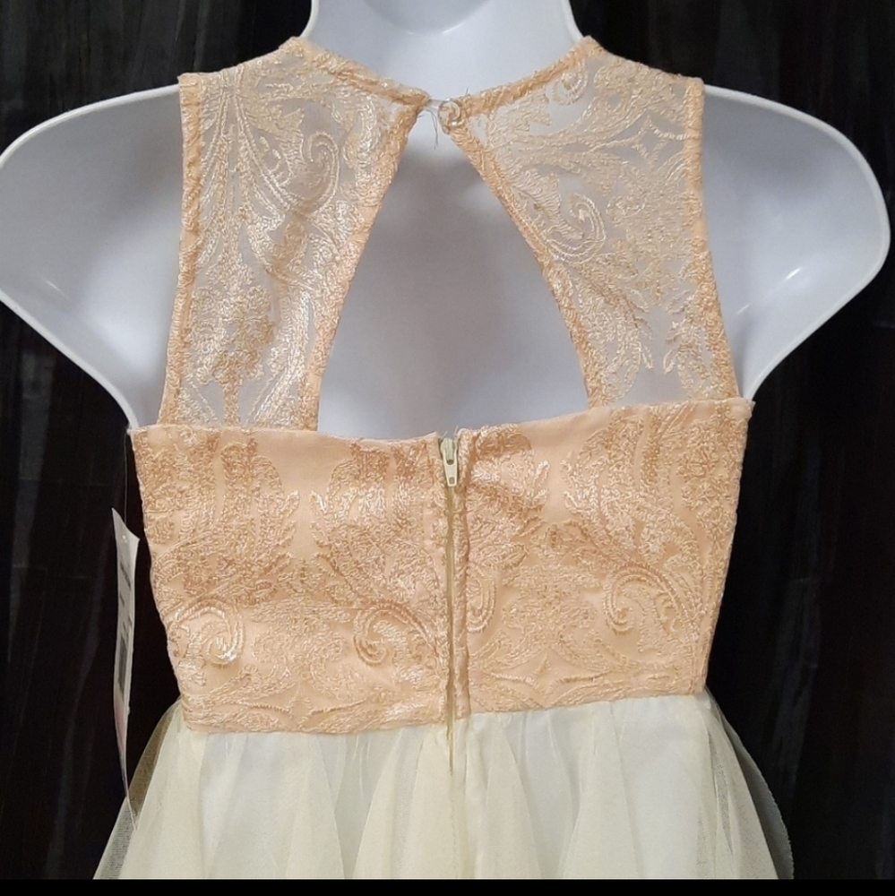 Rare Editions Pink Embroidered Lace Dress - Picture 8 of 10